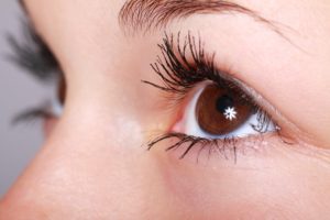 Closeup of an Eye